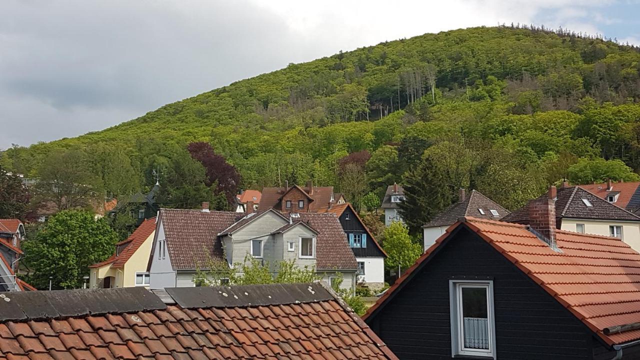 Brockenferien Apartment Бад Харцбург Екстериор снимка